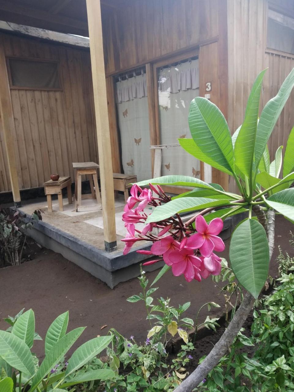 Beach Box Bungalow Gili Trawangan Luaran gambar