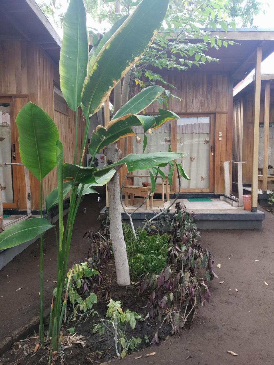 Beach Box Bungalow Gili Trawangan Luaran gambar