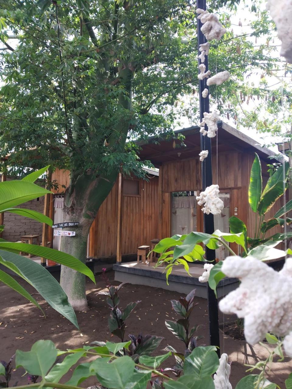 Beach Box Bungalow Gili Trawangan Luaran gambar